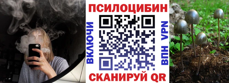 Купить закладки  Сосновка  Псилоцибиновые грибы Psilocybe 